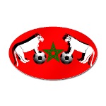 Le logo des Lions de l'Atlas, l'équipe nationale marocaine... Mes prochains ennemis!