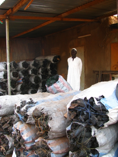 Le commerce du père de famille, la vente de charbon de bois à 6 000 FCFA (12$) le sac