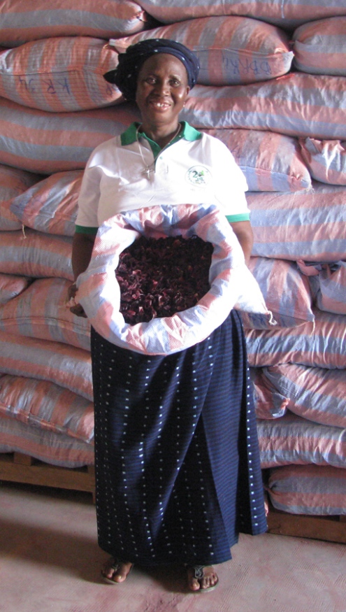 Suzanne Traoré, présidente de la section bissap de L'UGCPA/BM et une partie de la récolte... Le bissap est le nom ouest-africain donné à la fleur d'hibiscus.